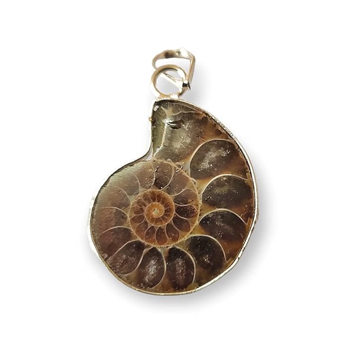 WAVS Ammonite Fossil Pendant