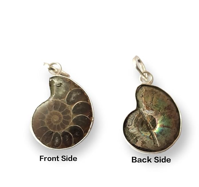 WAVS Ammonite Fossil Pendant