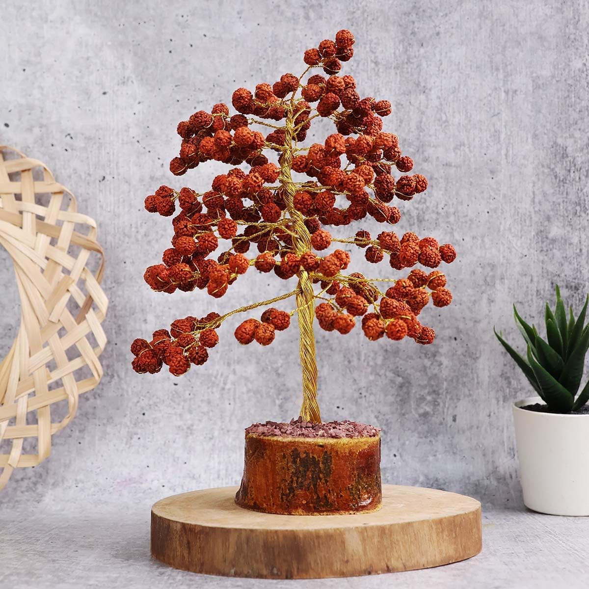 Rare Rudraksha Religious Tree Shiva's teardrops | Rudraksha Tree for Good Luck, Health, Wealth, Prosperity and Spiritual Bliss - 108 Beads White Aura Vastu Store