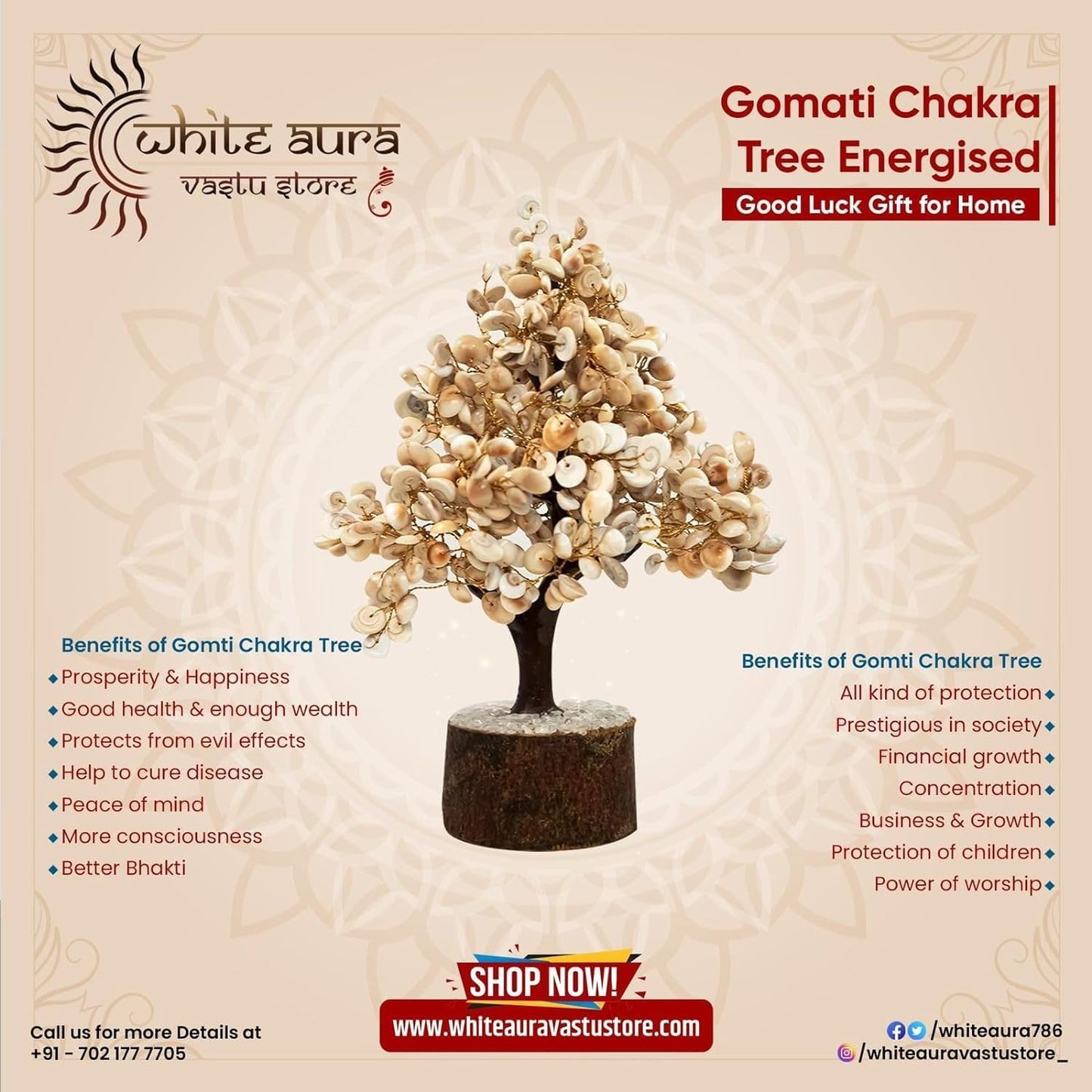 Gomati Chakra Tree Energised - Good Luck Gift for Home
