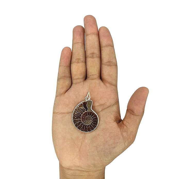 WAVS Ammonite Fossil Pendant