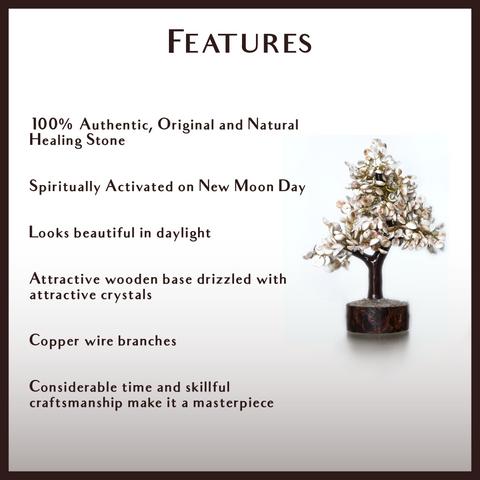 Gomati Chakra Tree Energised - Good Luck Gift for Home