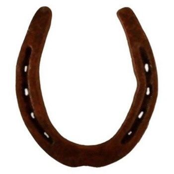 Energized Black Horse Shoe (Kale Ghode ki Naal) White Aura Vastu Store