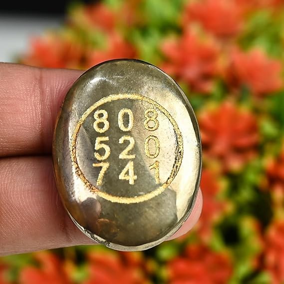 Good Luck Stone Pyrite Zibu Symbol Coin for Financial Growth & Abundance - Fortune & Wealth Magnet, Reiki Healing, Vastu Decor for Home & Office - 808 520 741 White Aura Vastu Store