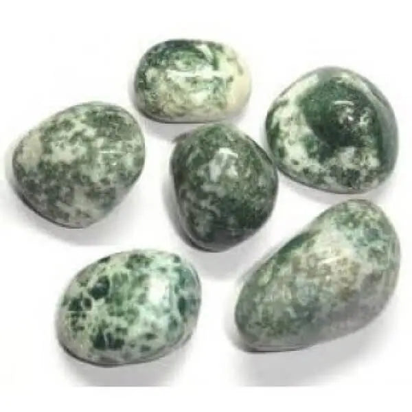 Tree Agate Tumble White Aura Vastu Store