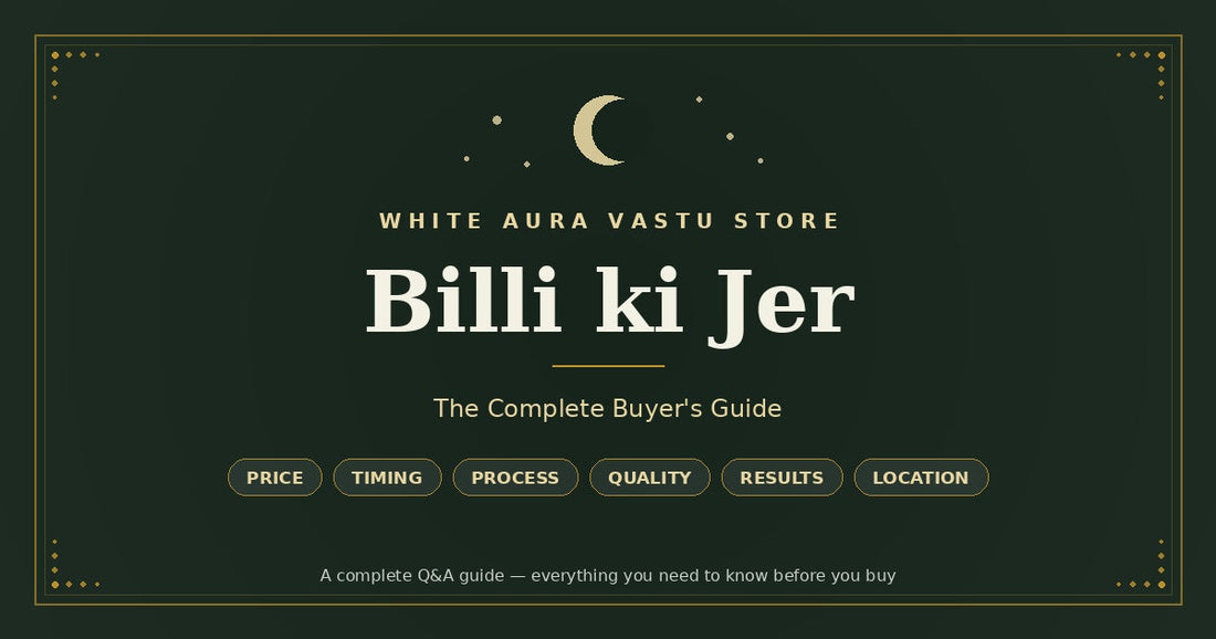 Billi ki Jer: The Complete Buyer's Guide — Price, Timing, Process & Results 