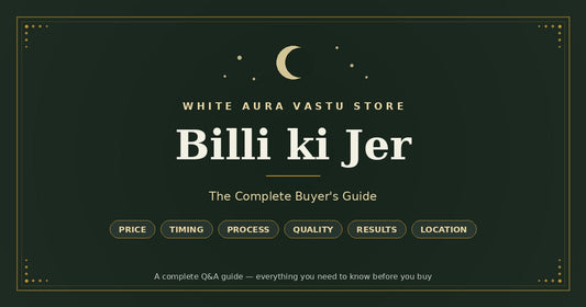 Billi ki Jer: The Complete Buyer's Guide — Price, Timing, Process & Results 