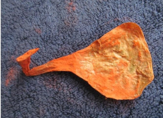 Billi Ki Jer Energized - Cat Naval Chord 100% Original