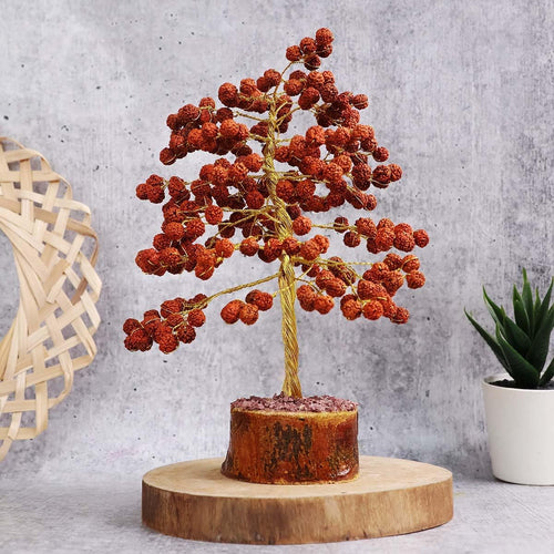 Rare Rudraksha Religious Tree Shiva's teardrops | Rudraksha Tree for Good Luck, Health, Wealth, Prosperity and Spiritual Bliss - 108 Beads White Aura Vastu Store