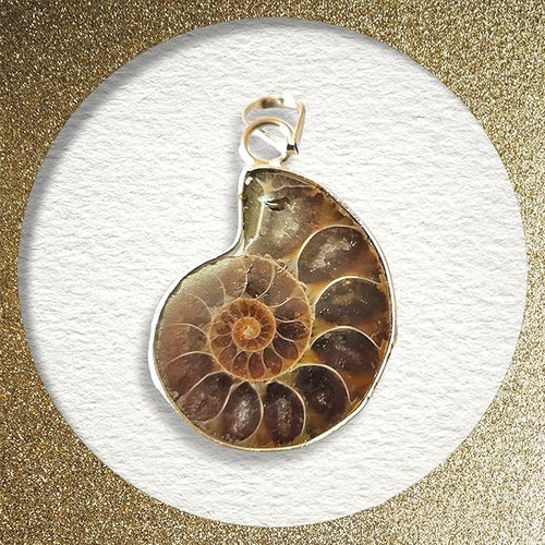 WAVS Ammonite Fossil Pendant